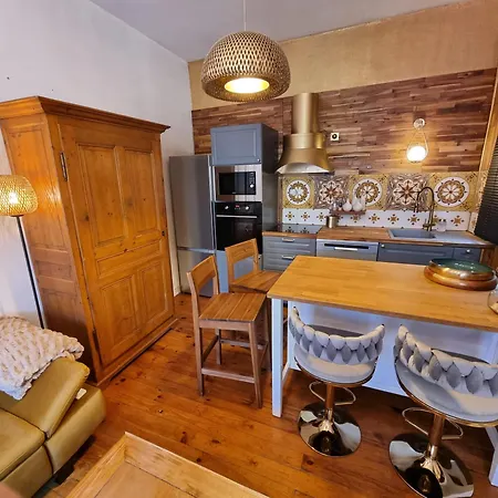 Maison Charmante, Annees 30 Avec Exterieur A Grenoble, Ile Verte 펜션 *
