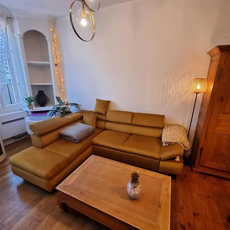 Maison Charmante, Annees 30 Avec Exterieur A L'ile Verte * Grenoble