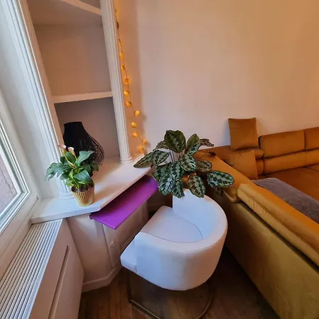 펜션 Maison Charmante, Annees 30 Avec Exterieur A Grenoble, Ile Verte *